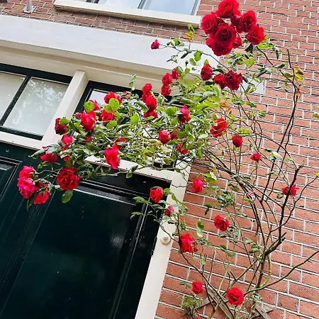 Appartement Perfectly Located Charming Magdalena House For True Connoisseurs Haarlem