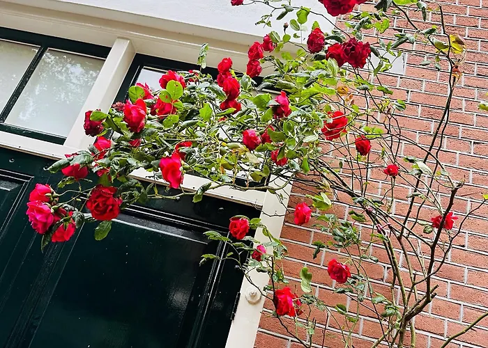 Apartman Perfectly Located Charming Magdalena House For True Connoisseurs Haarlem