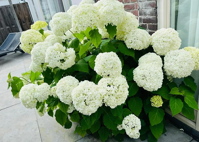 Perfectly Located Charming Magdalena House For True Connoisseurs * 하를렘